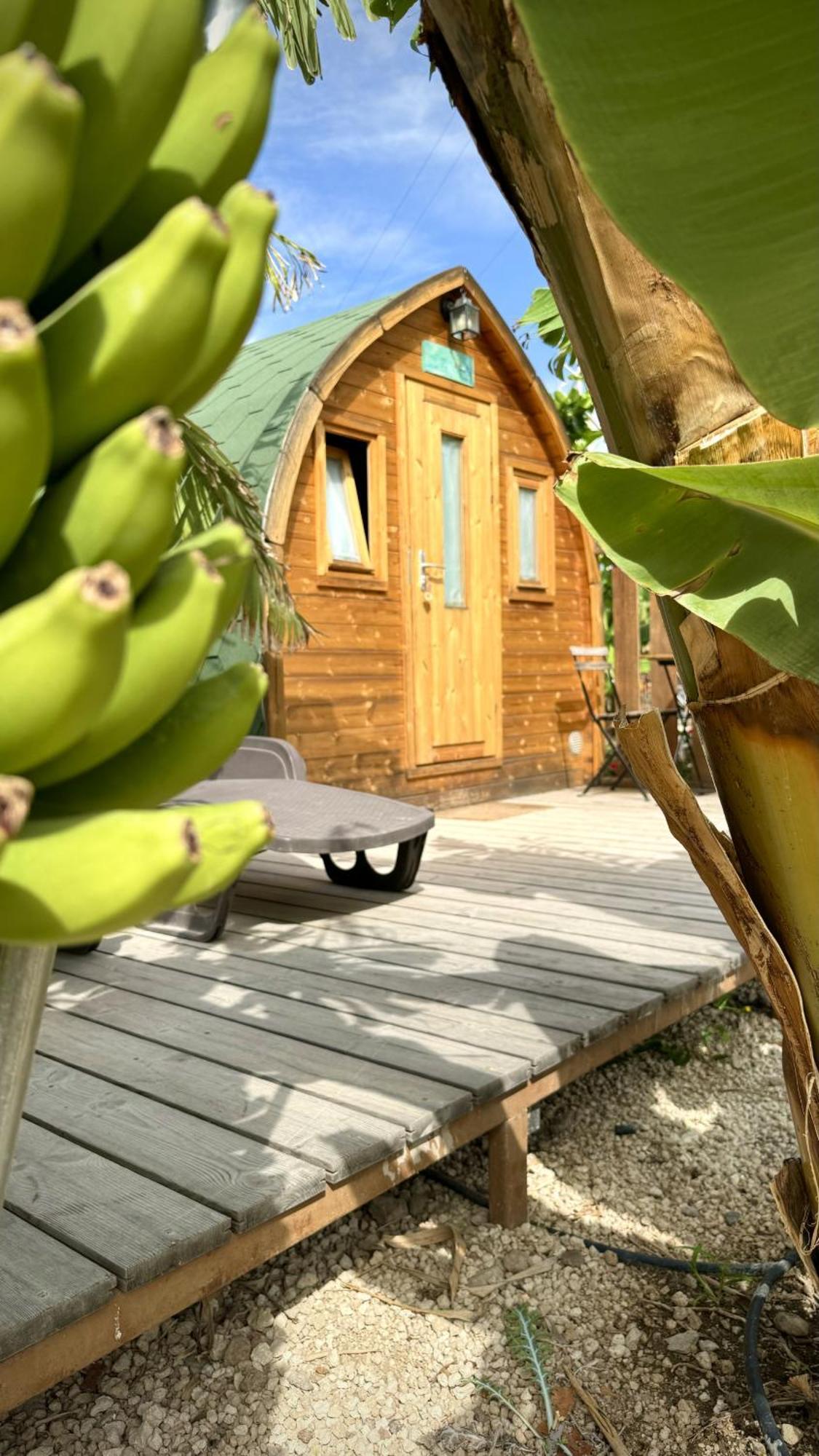 Lykke Suite Spa Sauna Piscina Y Jardin Buzanada Extérieur photo