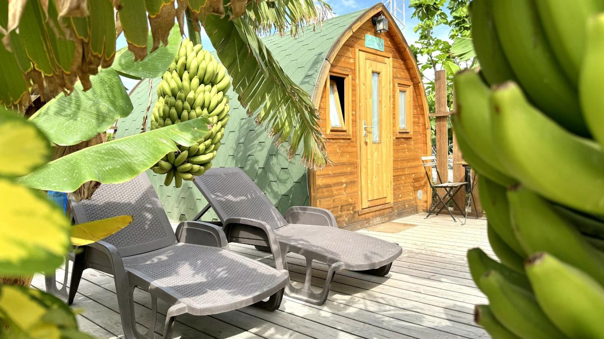 Lykke Suite Spa Sauna Piscina Y Jardin Buzanada Extérieur photo